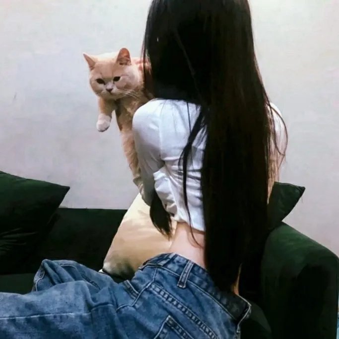 画中情思 在线观看