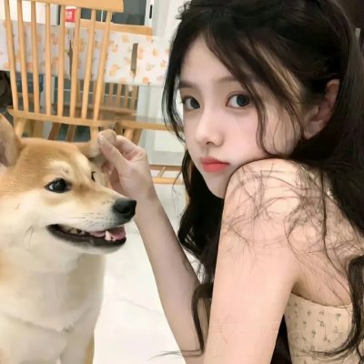 逆袭归来:我的废柴老婆 在线观看